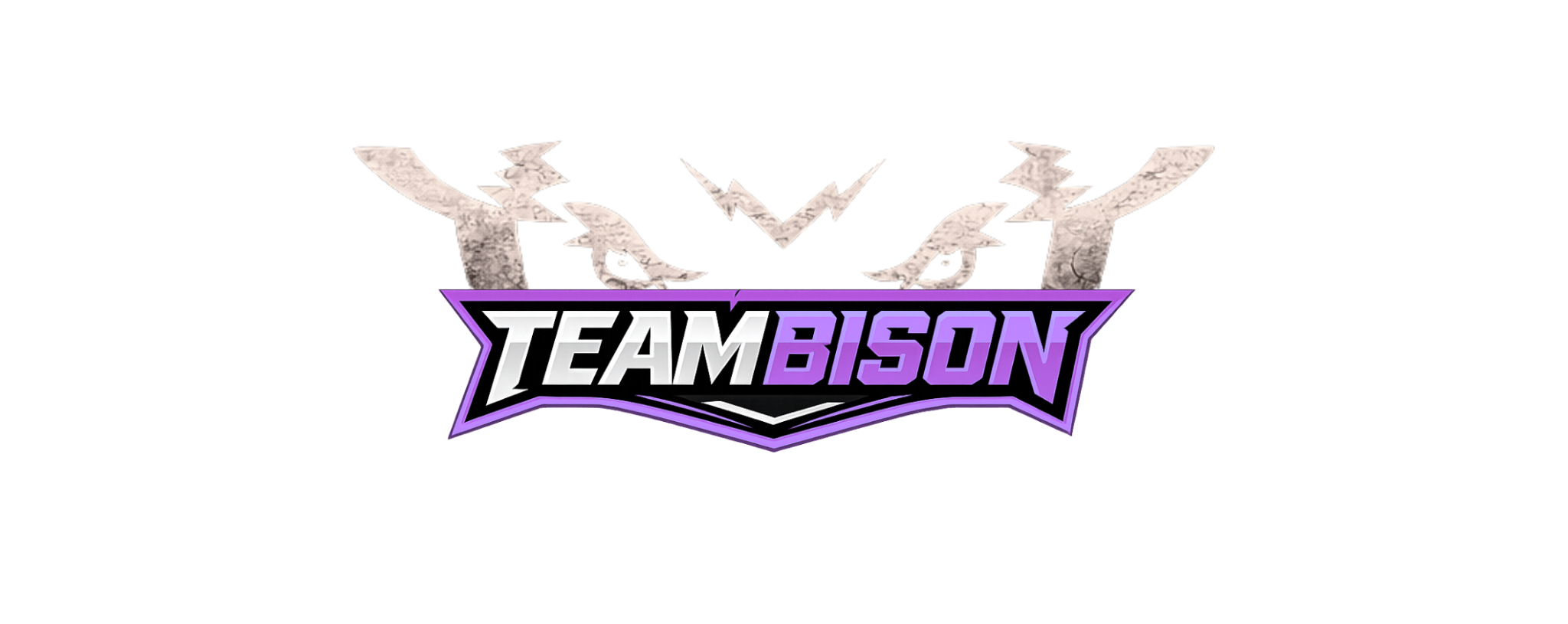 TeamBison Online Coaching