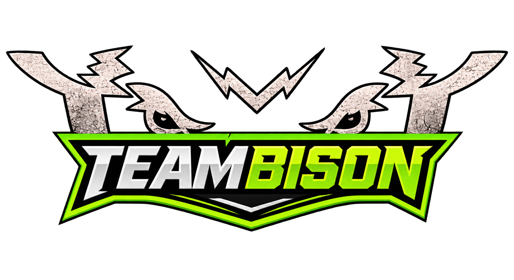 TeamBison